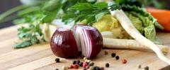 Nutrition Guidance at Love Cliches TV LLC